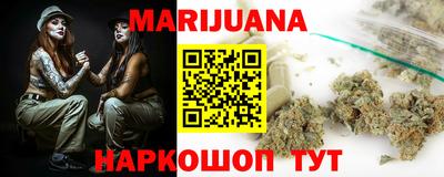 индика Дубна