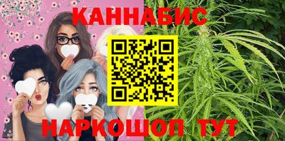 индика Дубна