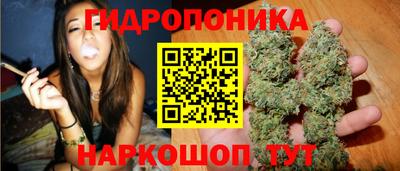 индика Дубна