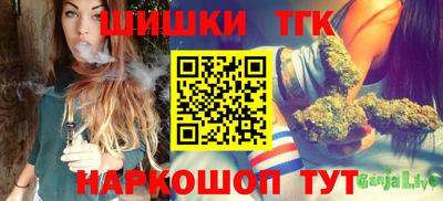 индика Дубна