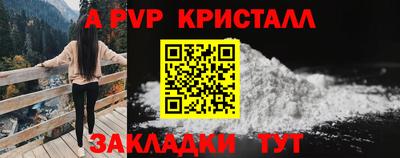 индика Дубна