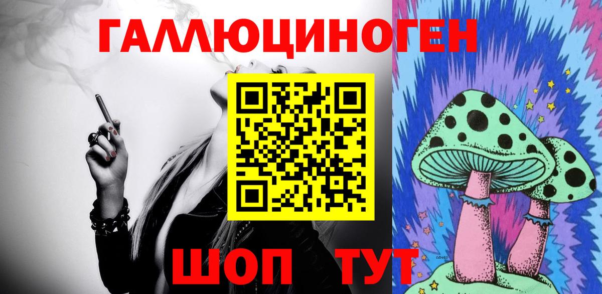 Галлюциногенные грибы Psilocybe Заволжье